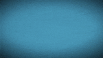 How About That Cabbage? 