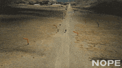 Keke Palmer Steven Yuen GIF by NOPE
