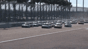 Happy Kyle Busch GIF by NASCAR