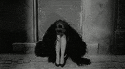 federico fellini GIF