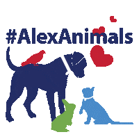 Pets Sticker by Animal Welfare League of Alexandria