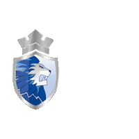 dordrechtlions goal icehockey ijshockey dordrecht Sticker