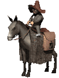 donkey STICKER