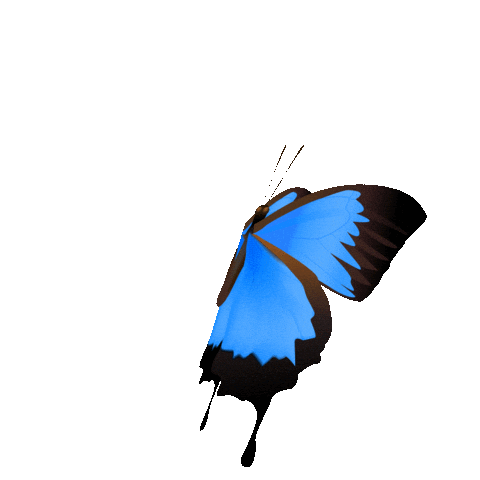 Butterfly Sofia Sticker by Gaída Beauty