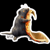 lostinthecity_ny pizza hug nyc new york city GIF