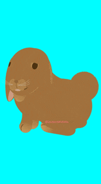 Brown Bunny Dancing GIF