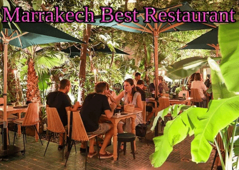 lejardinmarrakech giphygifmaker marrakech best food marrakech best restaurant marrakech best restaurants GIF