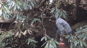 Chainsaw Dirt Work GIF by JC Property Professionals