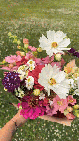 alisgarden giphyupload giphycreatortest flowers farm GIF