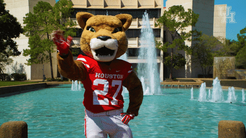 houstoncougars giphyupload houston sasha gocoogs GIF