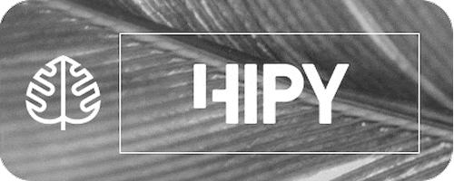 dzainenet giphyupload blackfriday wx3 hipy GIF