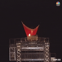 Muhammad Ali Sport GIF by Team USA