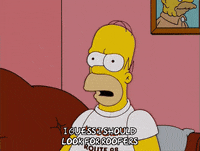 homer simpson GIF