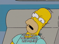 homer simpson GIF