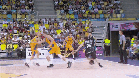 liga endesa basketball GIF by ACB