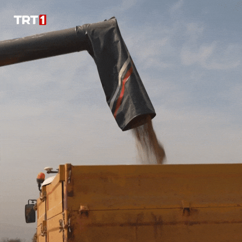 Loading Give GIF by TRT