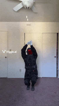 Viper GIF