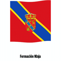 Castilla Y Leon Flag GIF by Formación Ninja