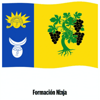 Castilla Y Leon Flag GIF by Formación Ninja
