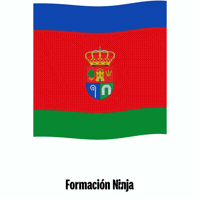 Castilla Y Leon Flag GIF by Formación Ninja