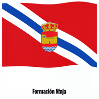 Castilla Y Leon Flag GIF by Formación Ninja