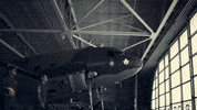 surprise surprise GIF by Billy Talent