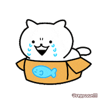 Sad Cat Sticker by Minto Inc.