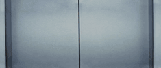 GIF by Morphin
