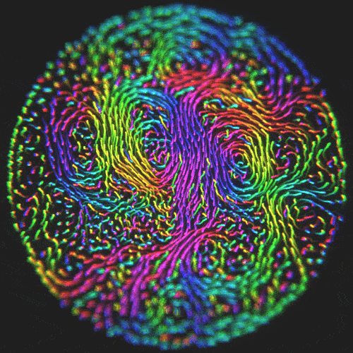 visual art physics GIF by SymmetryInChaos