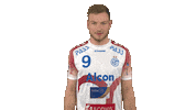 Sport Handball Sticker by LIQUI MOLY HBL