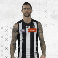 GIF by CollingwoodFC
