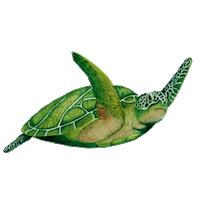 Illustration Swimming Sticker by Todo Fresa