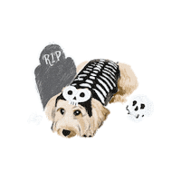 Trick Or Treat Dog Sticker by Honey Boo Designs