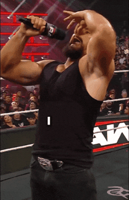 Seth Rollins Wwe GIF by Respective