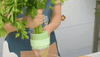 LKPM giphygifmaker GIF