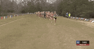 GIF by RunnerSpace.com