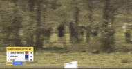 GIF by RunnerSpace.com
