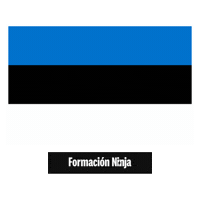 Flag Pixel Art Sticker by Formación Ninja