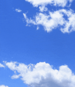 Craft Beer GIF by Hinterland Brewery