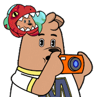 Picturing Shooting Sticker