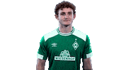 football bundesliga Sticker by SV Werder Bremen