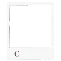 CarmiBelgium fashion photo picture polaroid Sticker