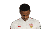 Look Up Vfb Stuttgart Sticker by Bundesliga