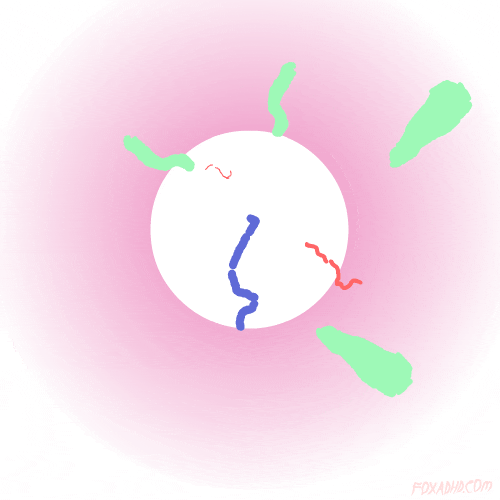 Animation Artists On Tumblr GIF by gifnews