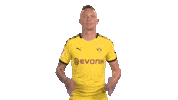 Borussia Dortmund Yes Sticker by Bundesliga
