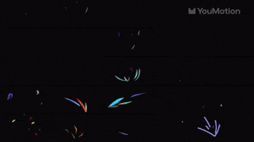 Colorful Dynamic Shapes