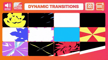 Transition Visual Effects Studio Pack Pro 5