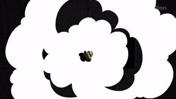 Smoke Cartoon Motion Studio Pack Studio 3