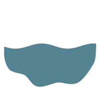 Killer Whale Ocean Sticker by Tourism Vancouver Island