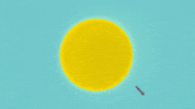 sun exterior shot GIF by South Park 